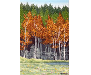 Bob Pitzel - Flooded Poplars 2