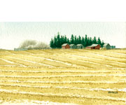 Swaths and Shelterbelt